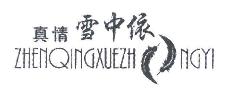 真情雪中依