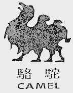 骆驼  CAMEL