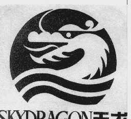 天龙 SKYDRAGON