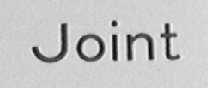 JOINT