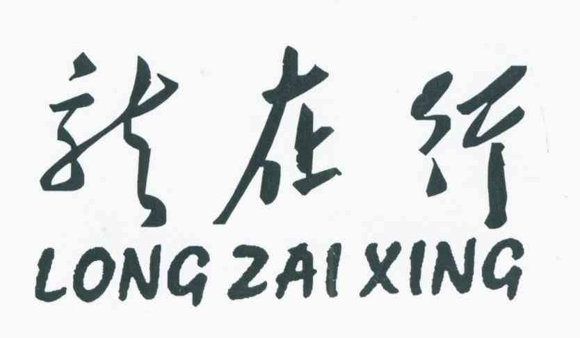 龙在行