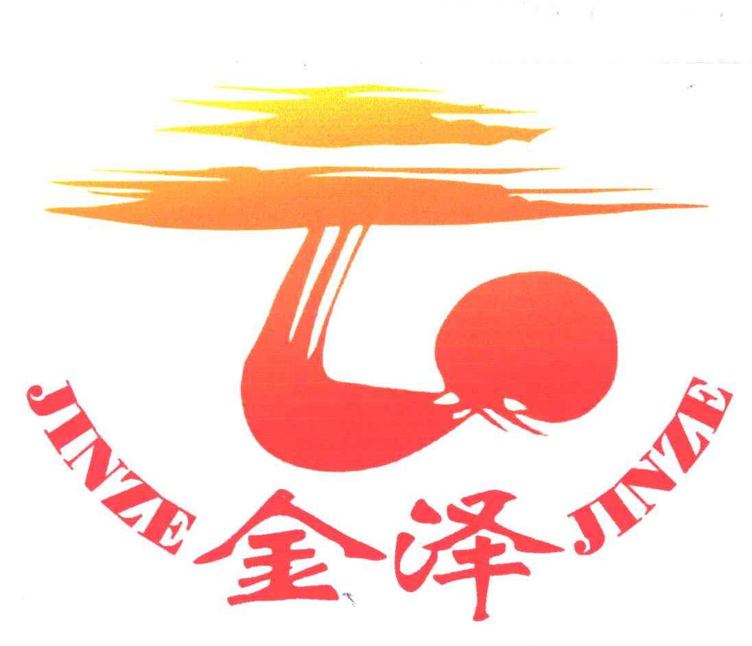 金泽;