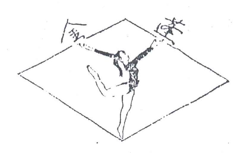 金蓬