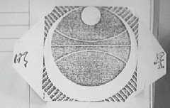 明星