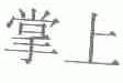 掌上