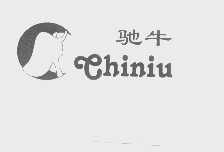 驰牛
