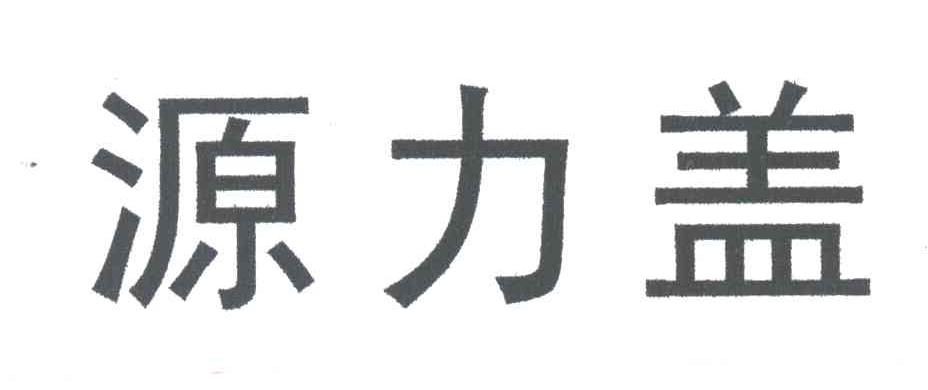 源力盖