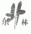 东北林;东林