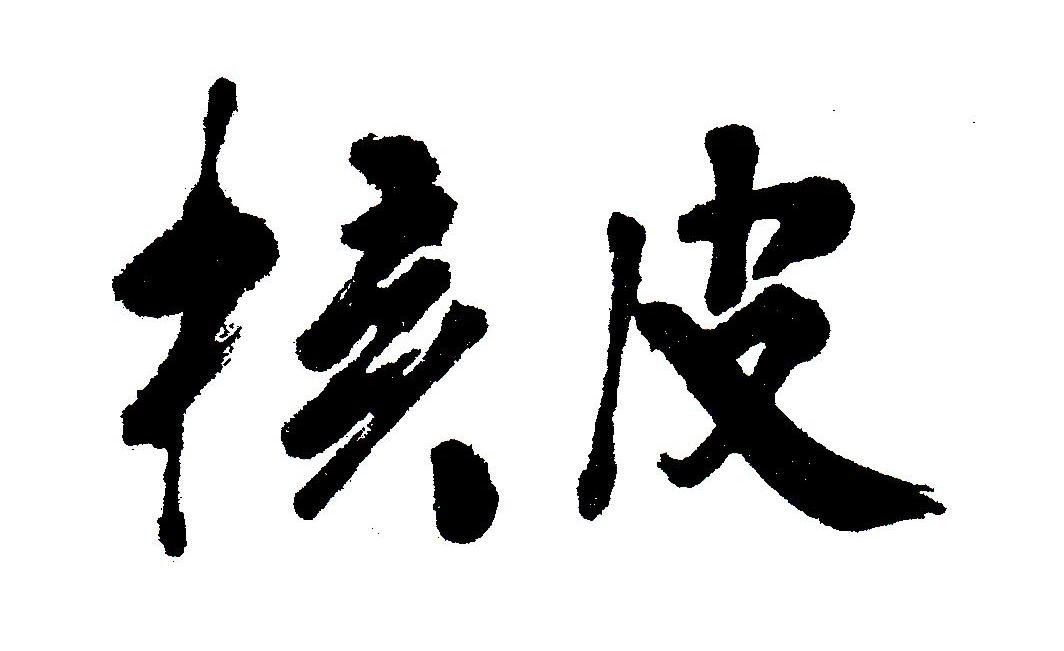 核皮