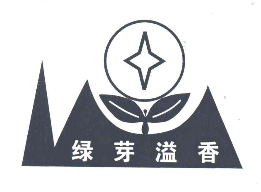 绿芽溢香