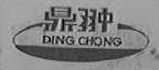 鼎翀