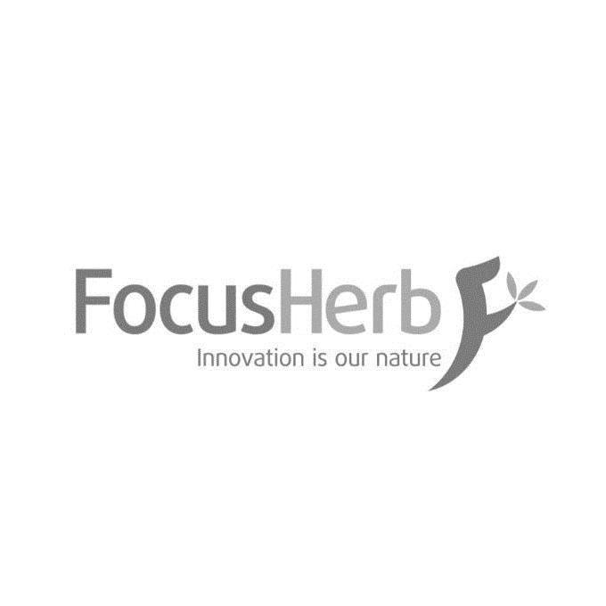 FOCUSHERB INNOVATION IS OUR NATURE F