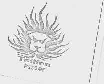 图腾狮   TPILION