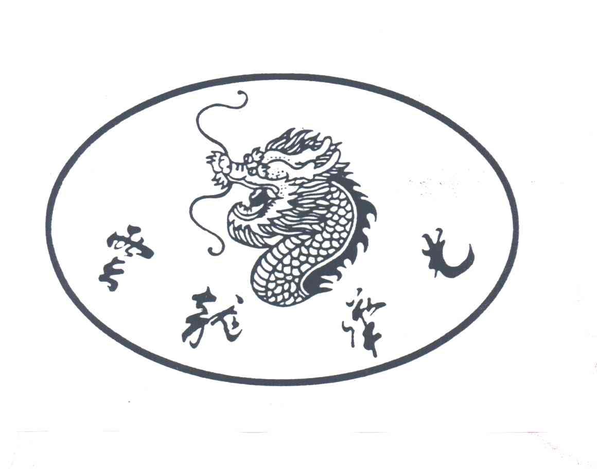 云龙华光