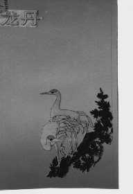 龙丹