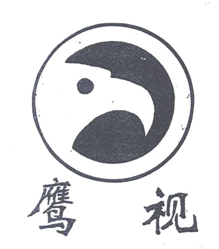 鹰视