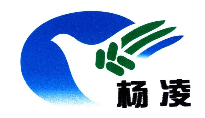 杨凌