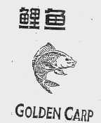 鲤鱼   GOLDEN CARP