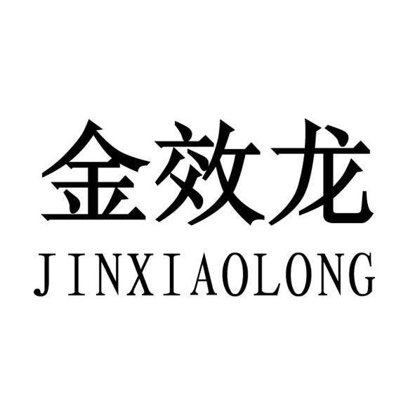 金效龙
