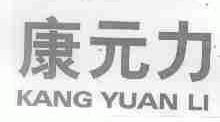康元力