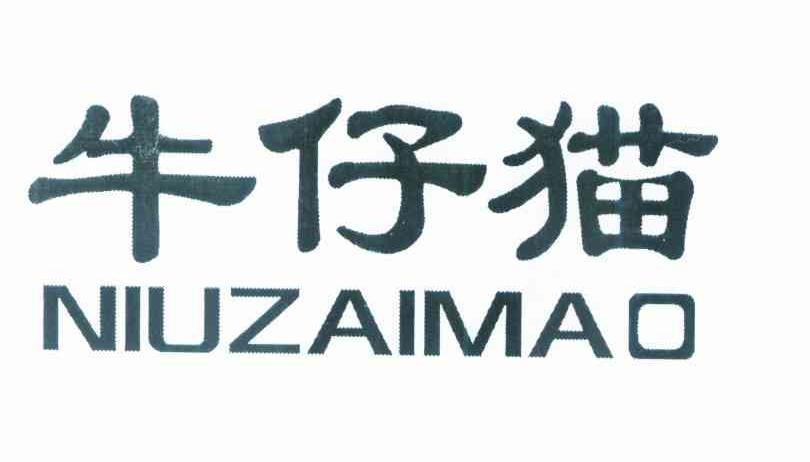 牛仔猫