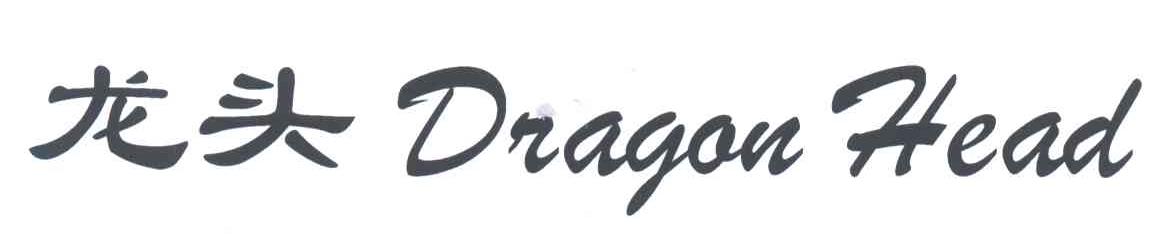 龙头;DRAGAN HEAD