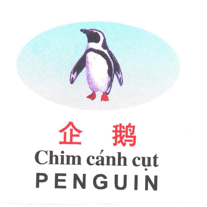企鹅