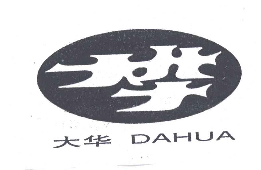 大华