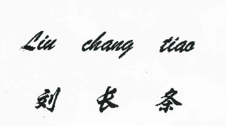 刘长条