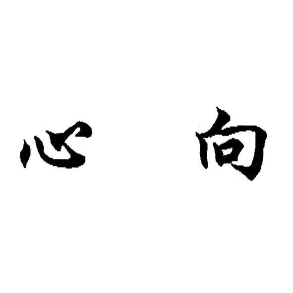 心向