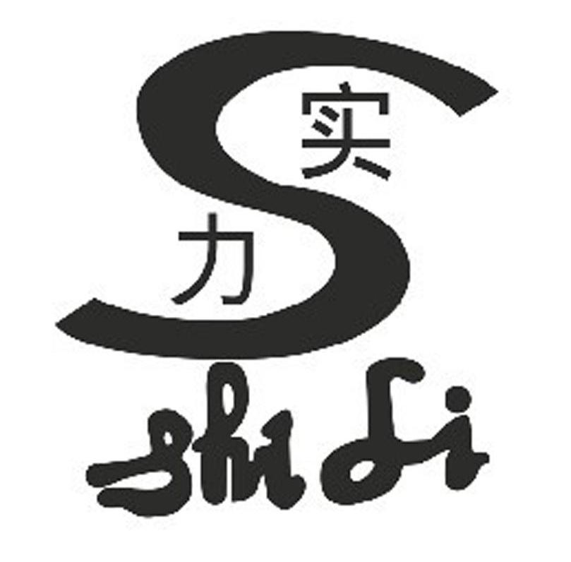 实力