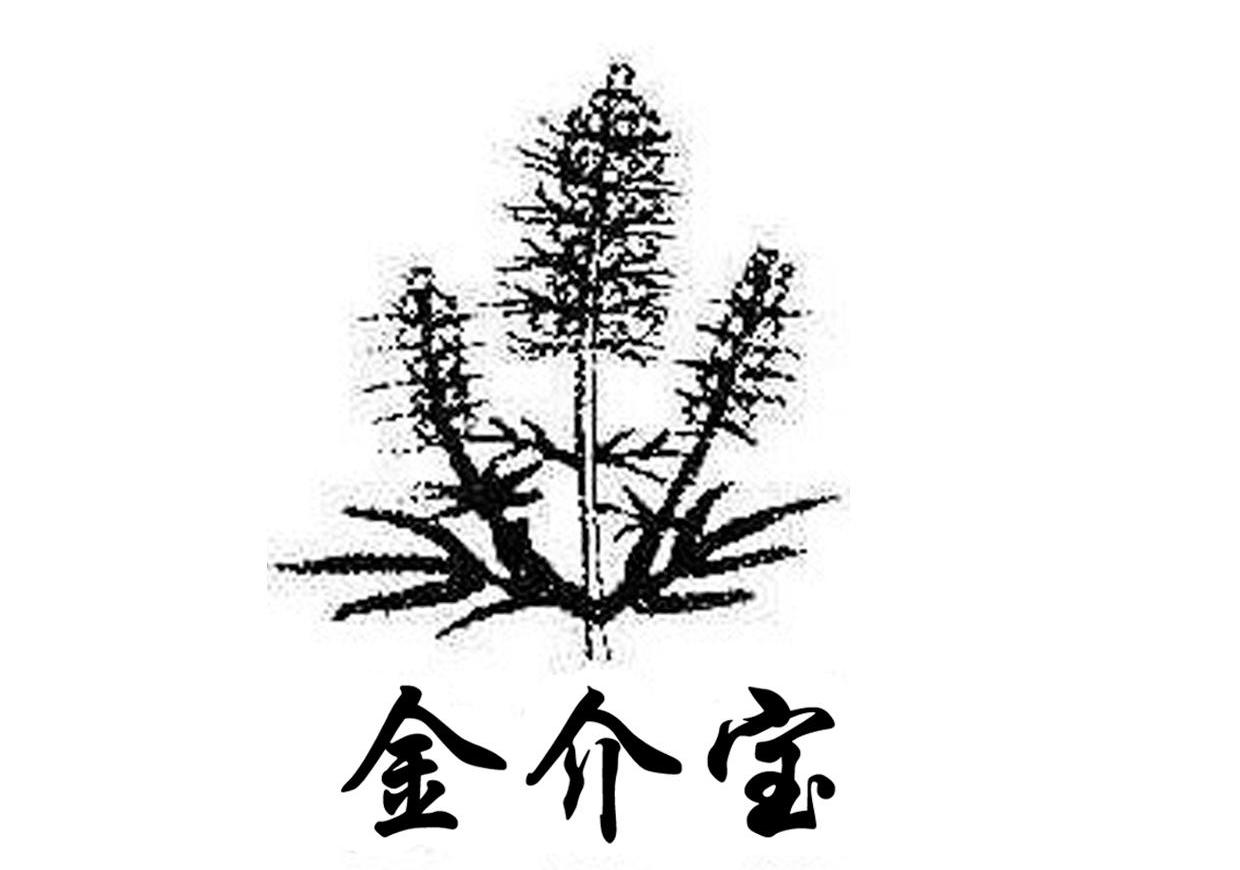 金介宝