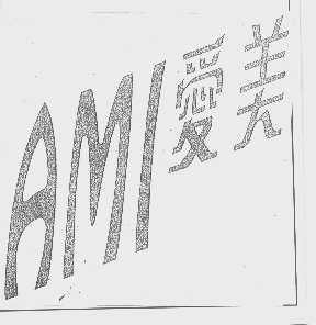 爱美   AMI