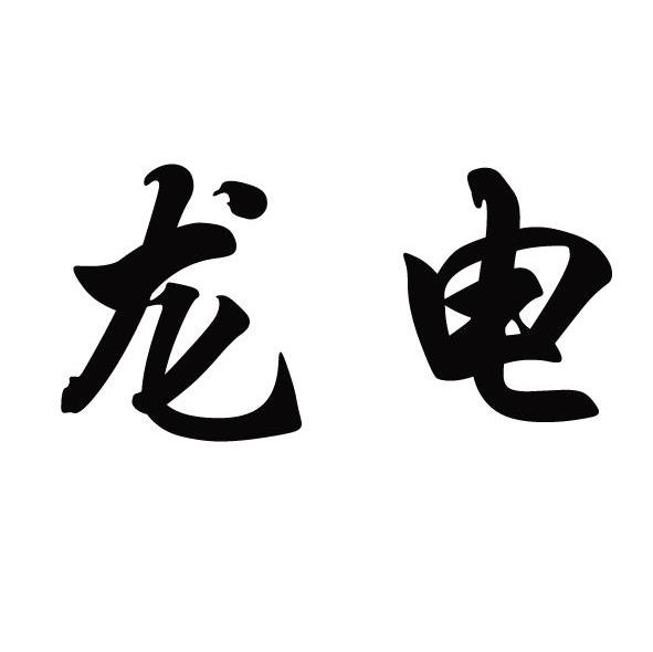 龙电