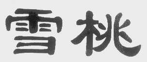 雪桃
