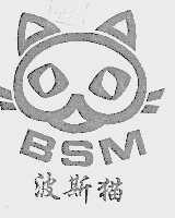 波斯猫  BSM