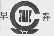 早春