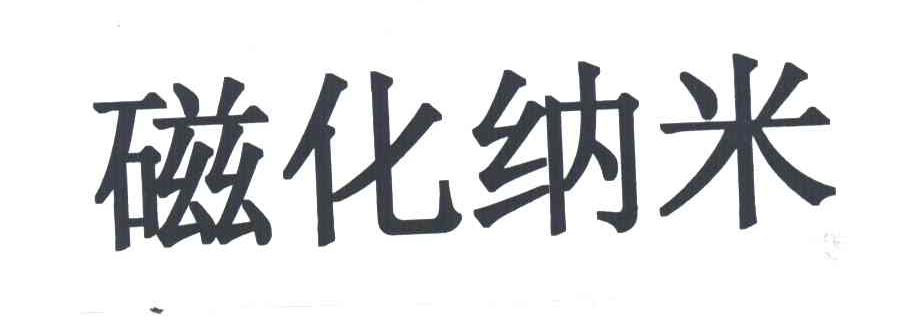 磁化纳米