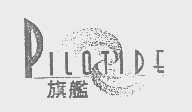 旗舰   PILOTIDE
