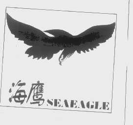 海鹰   SEAEAGLE