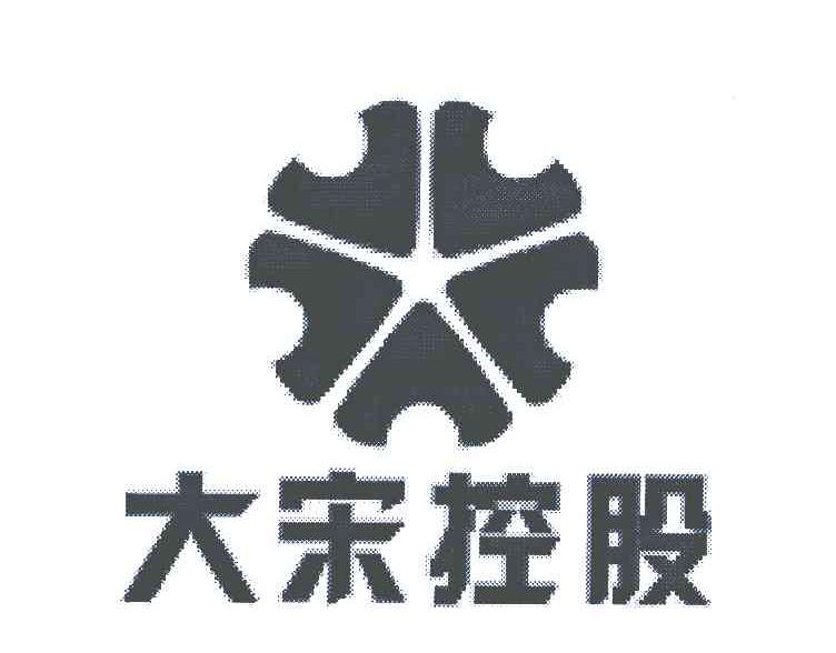 大宋控股