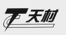 天村