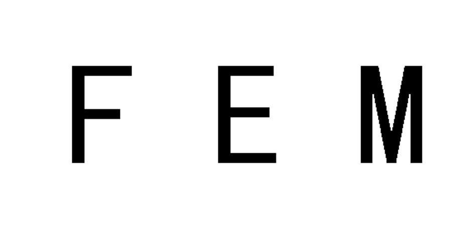 FEM