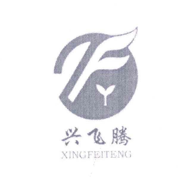 兴飞腾;F