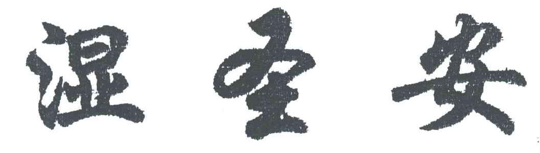 湿圣安