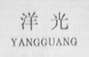 洋光