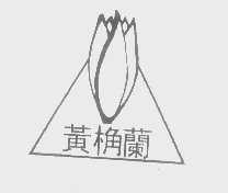 黄桷兰