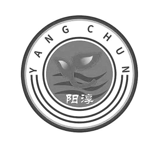阳淳