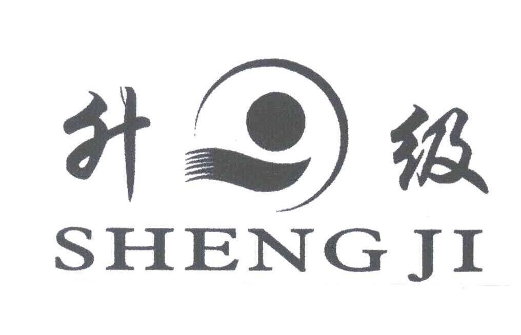 升级;SHENG JI
