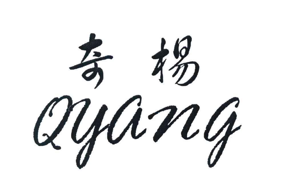 奇杨 QYANG